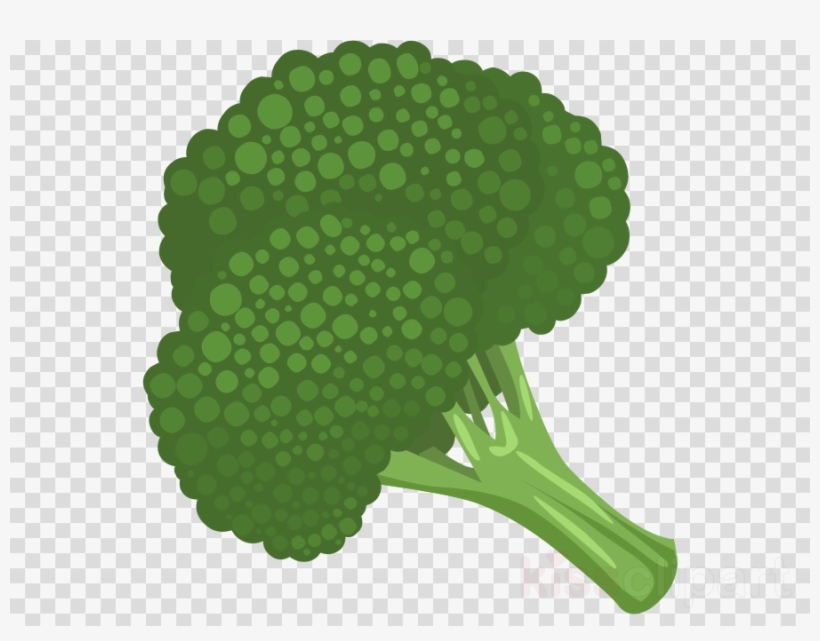 Detail Brocoli Clipart Nomer 37