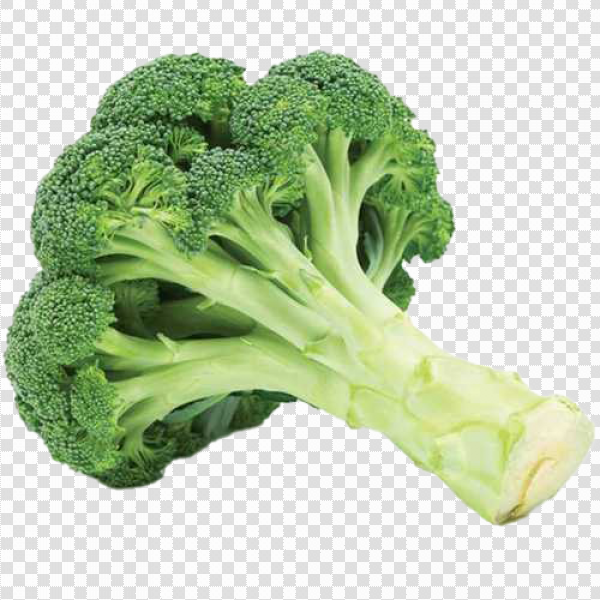 Detail Brocoli Png Nomer 13