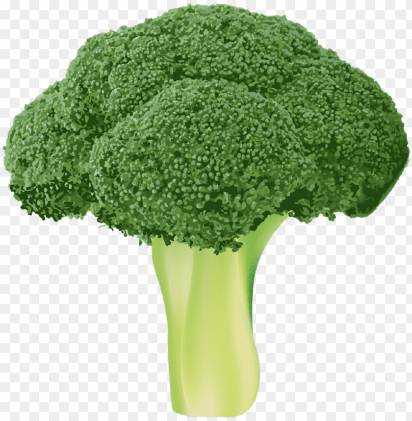 Detail Brocoli Png Nomer 4