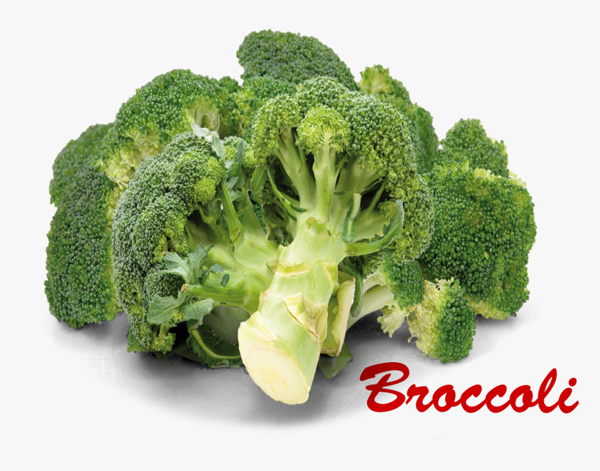 Detail Brocolli Png Nomer 48