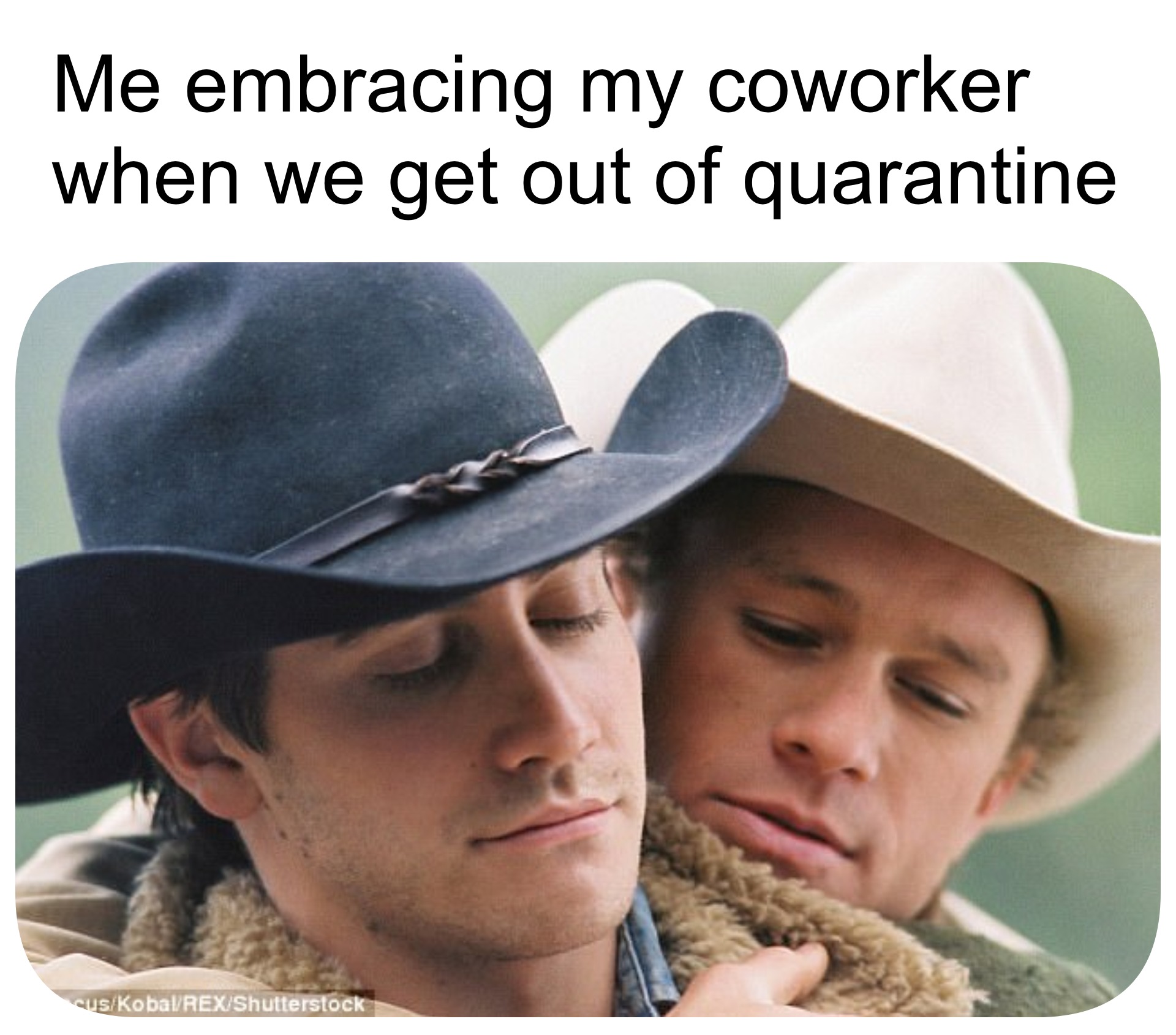 Brokeback Mountain Meme - KibrisPDR