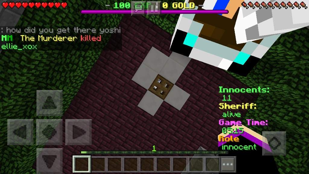 Detail Broken Lens Minecraft Pe Server Nomer 38