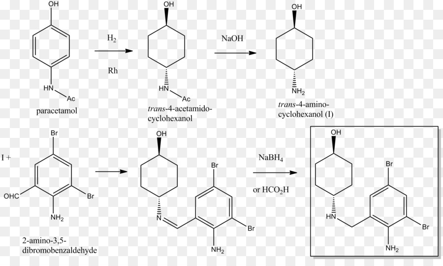 Detail Bromhexine Dan Ambroxol Nomer 18