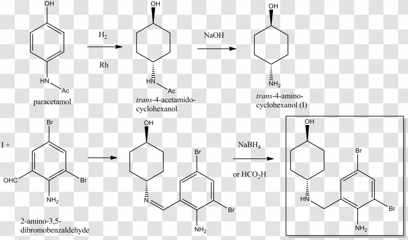 Detail Bromhexine Dan Ambroxol Nomer 20