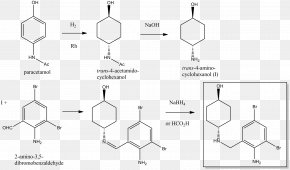 Detail Bromhexine Dan Ambroxol Nomer 30