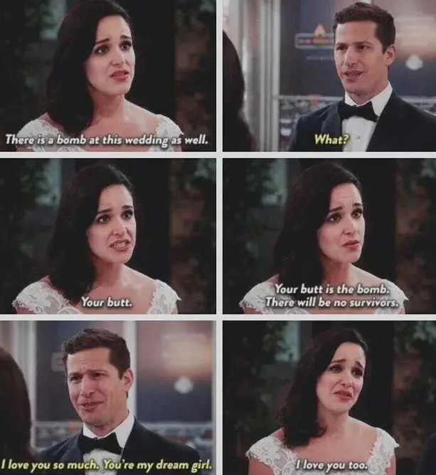 Detail Brooklyn Nine Nine Funny Quotes Nomer 15