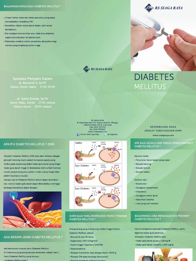 Detail Brosur Diabetes Melitus Nomer 5