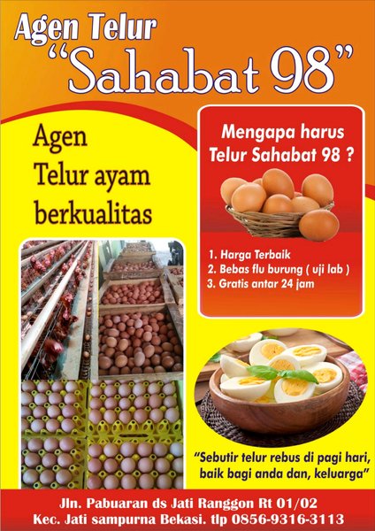 Detail Brosur Jual Telur Ayam Nomer 2