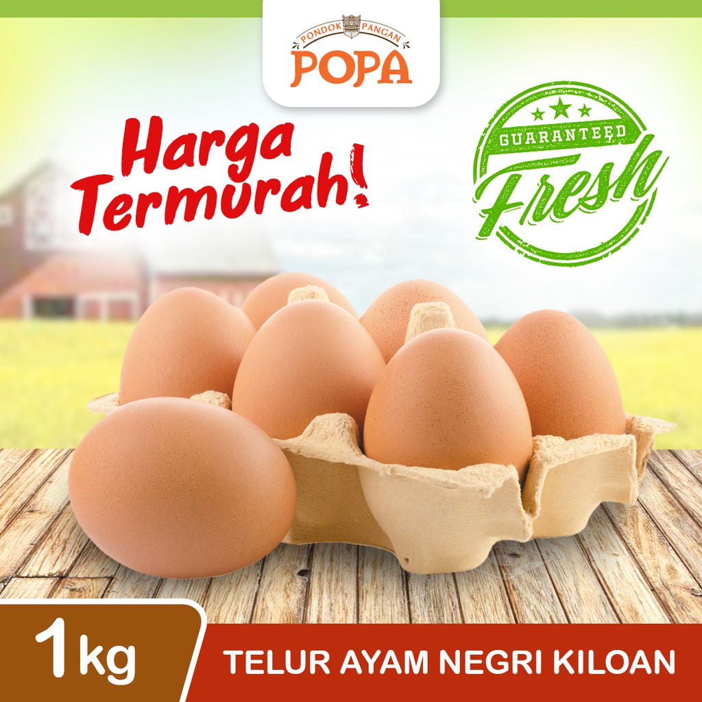 Detail Brosur Jual Telur Ayam Nomer 11