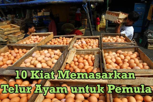 Detail Brosur Jual Telur Ayam Nomer 14