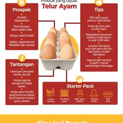 Detail Brosur Jual Telur Ayam Nomer 18