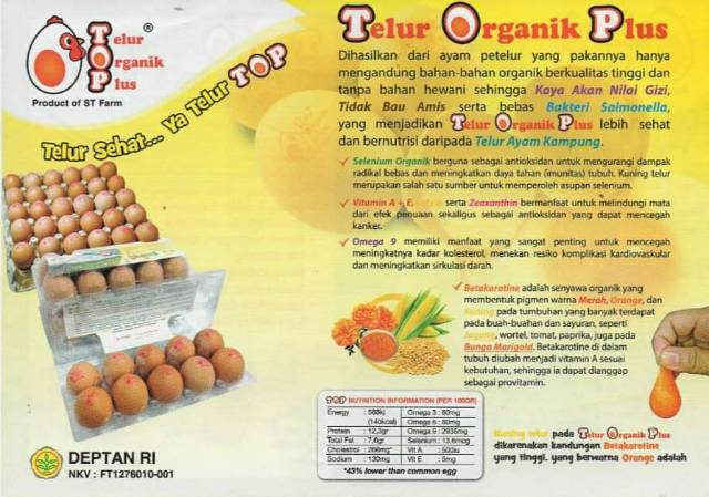 Detail Brosur Jual Telur Ayam Nomer 30
