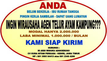 Detail Brosur Jual Telur Ayam Nomer 44