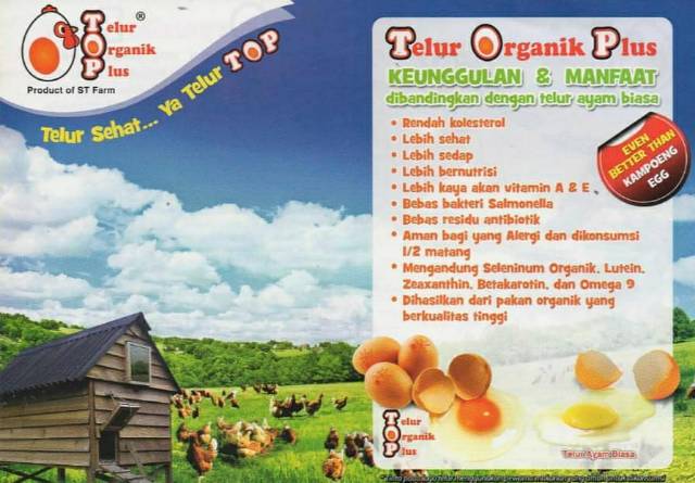 Detail Brosur Jual Telur Ayam Nomer 50