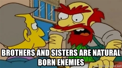 Detail Brothers And Sisters Are Natural Enemies Meme Nomer 24