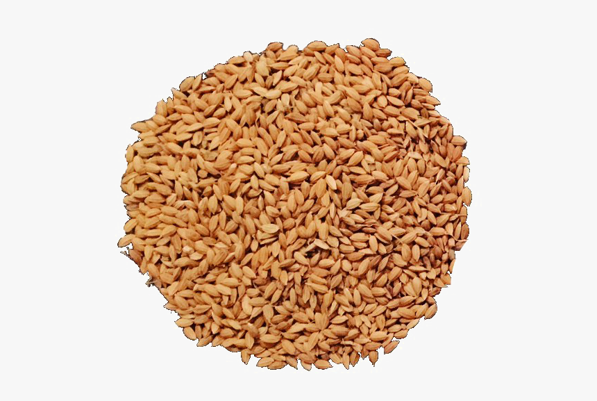 Detail Brown Rice Png Nomer 13