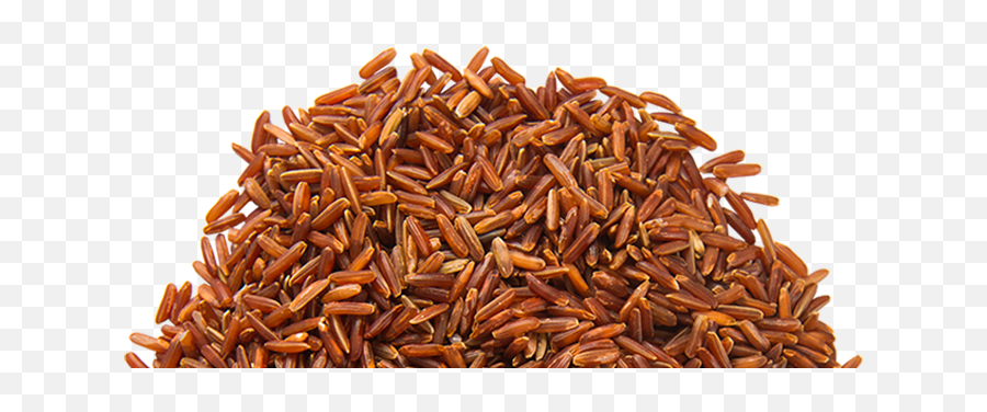 Detail Brown Rice Png Nomer 30