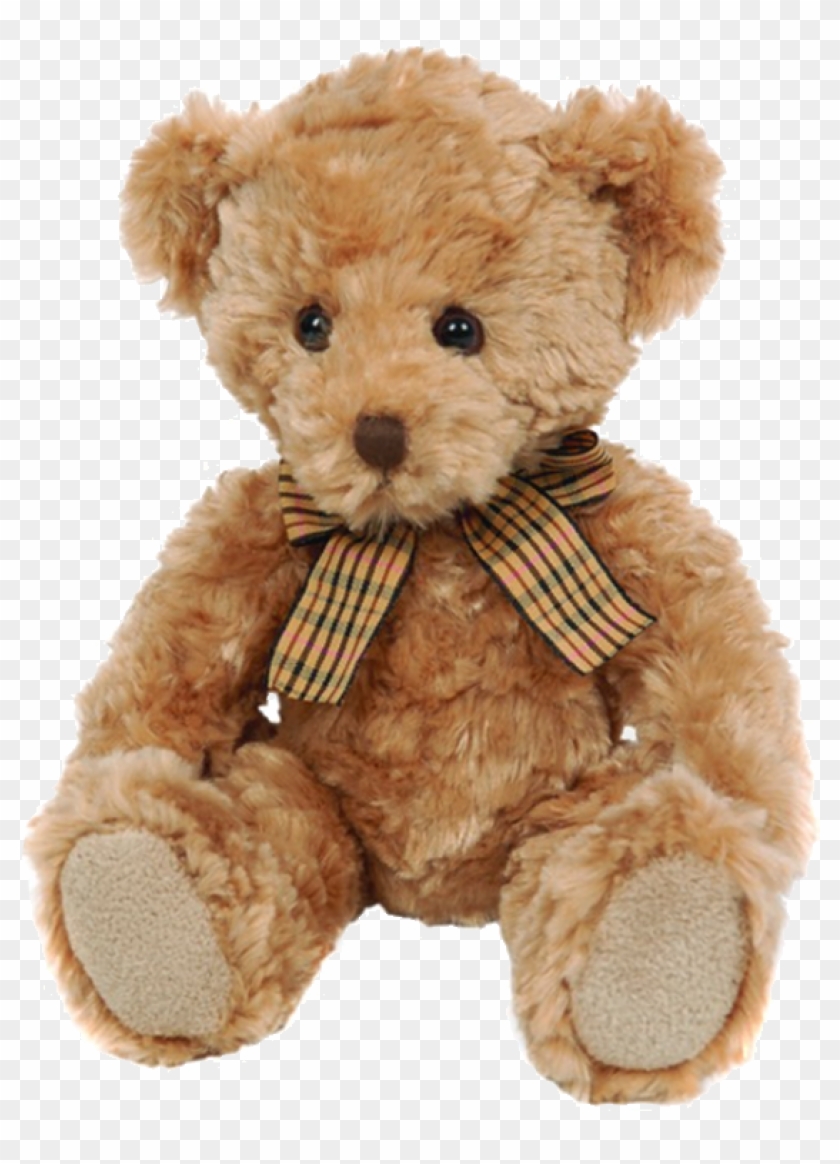 Detail Brown Teddy Bear Png Nomer 23