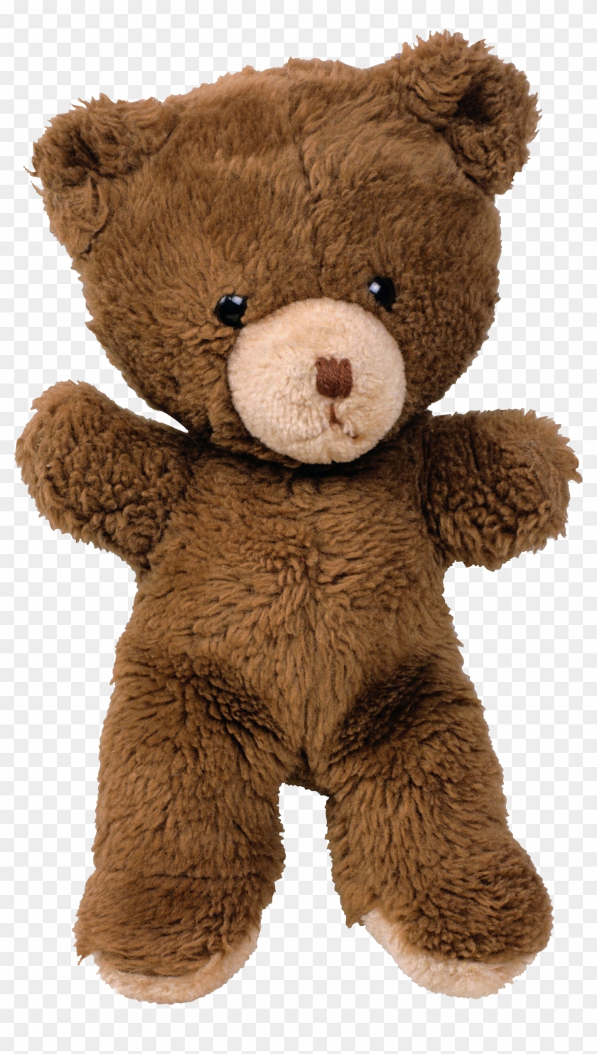 Detail Brown Teddy Bear Png Nomer 9