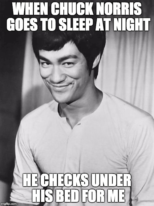 Detail Bruce Lee Chuck Norris Meme Nomer 10