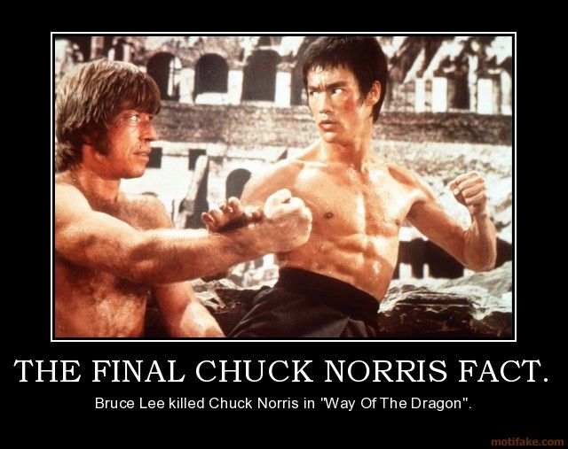 Detail Bruce Lee Chuck Norris Meme Nomer 3