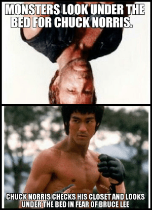 Detail Bruce Lee Chuck Norris Meme Nomer 37