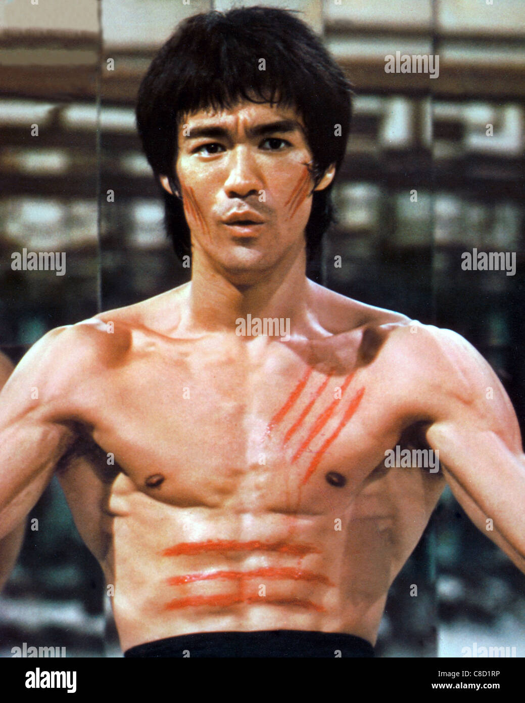 Detail Bruce Lee Hd Photos Nomer 11