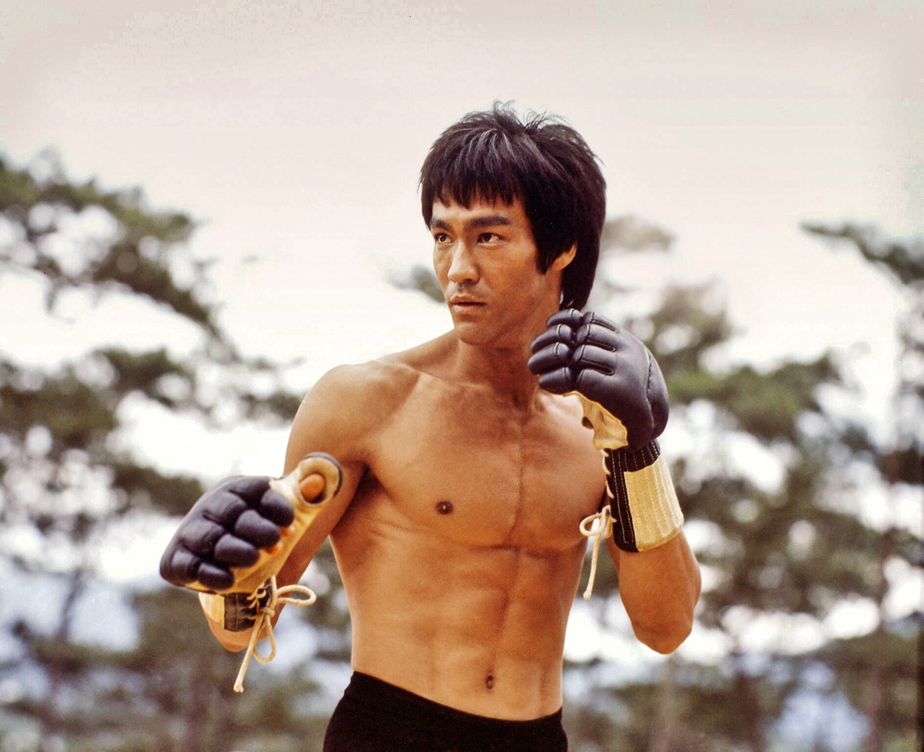 Detail Bruce Lee Images Nomer 12