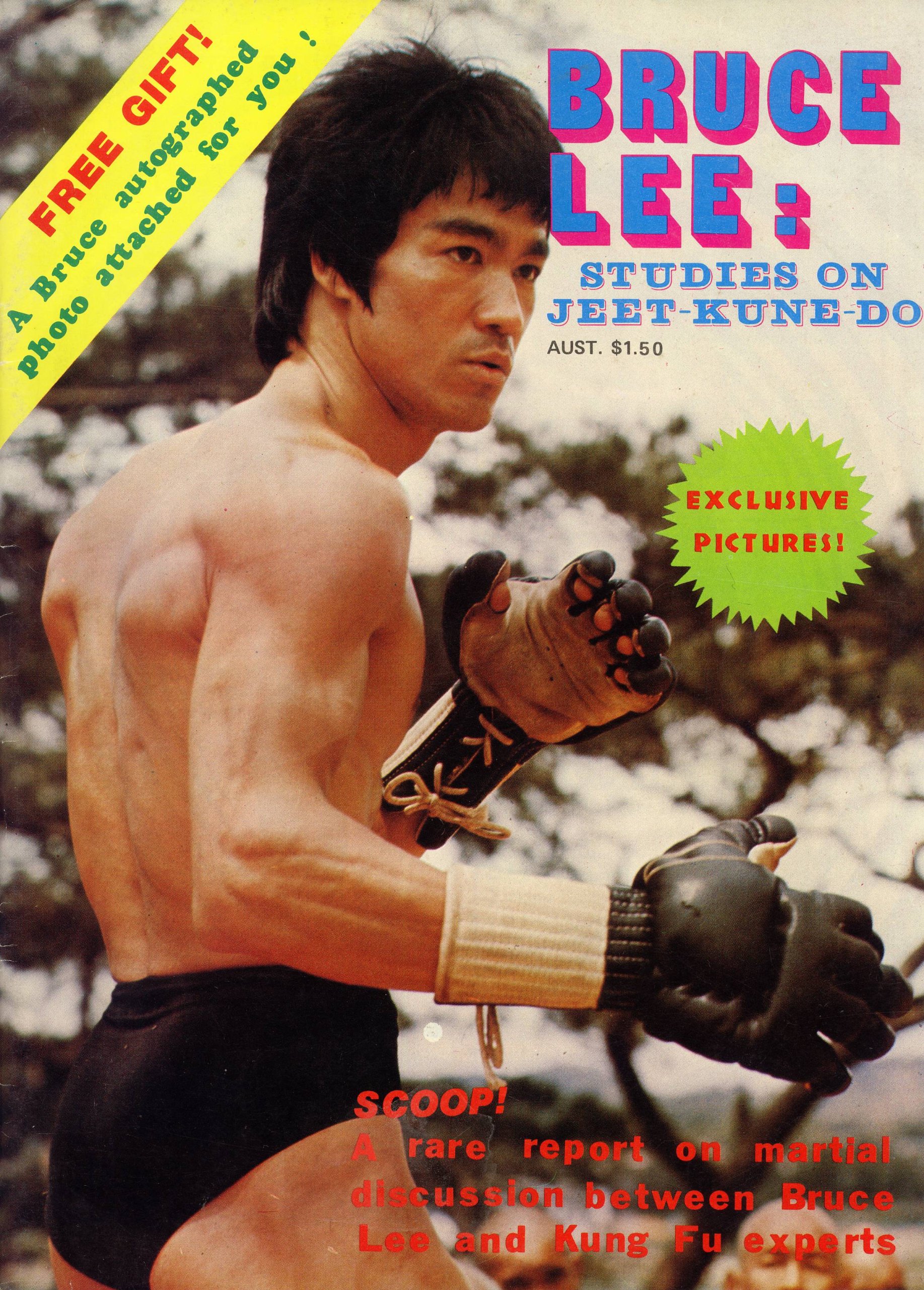 Detail Bruce Lee Jeet Kune Do Nomer 10