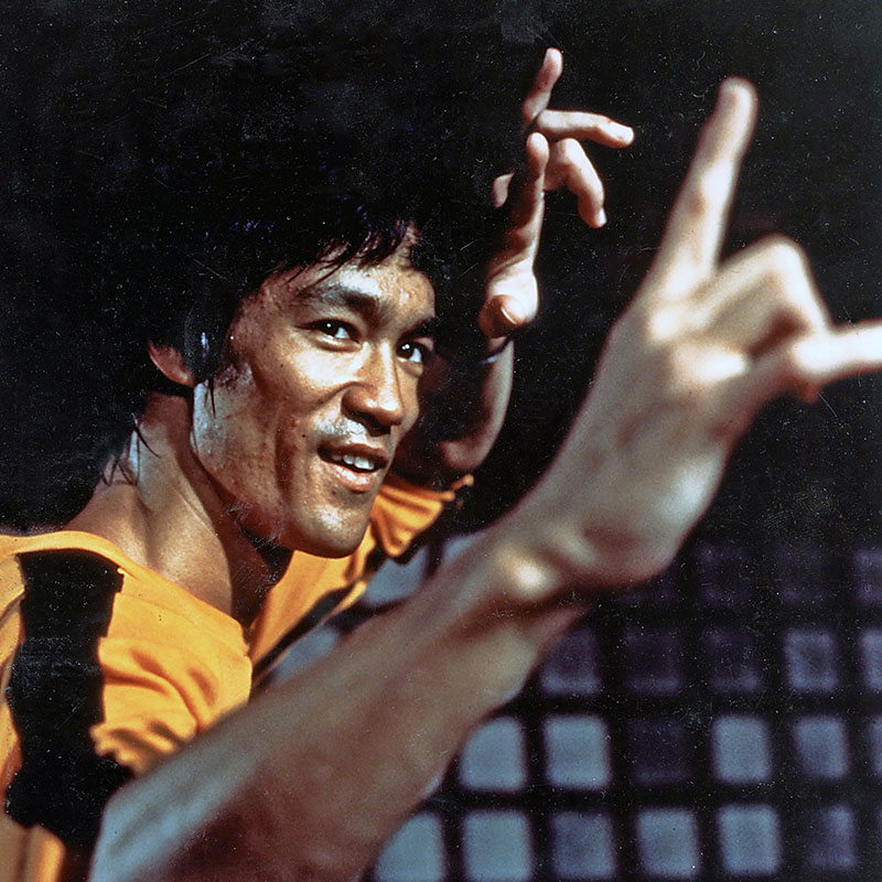 Bruce Lee Logo - KibrisPDR