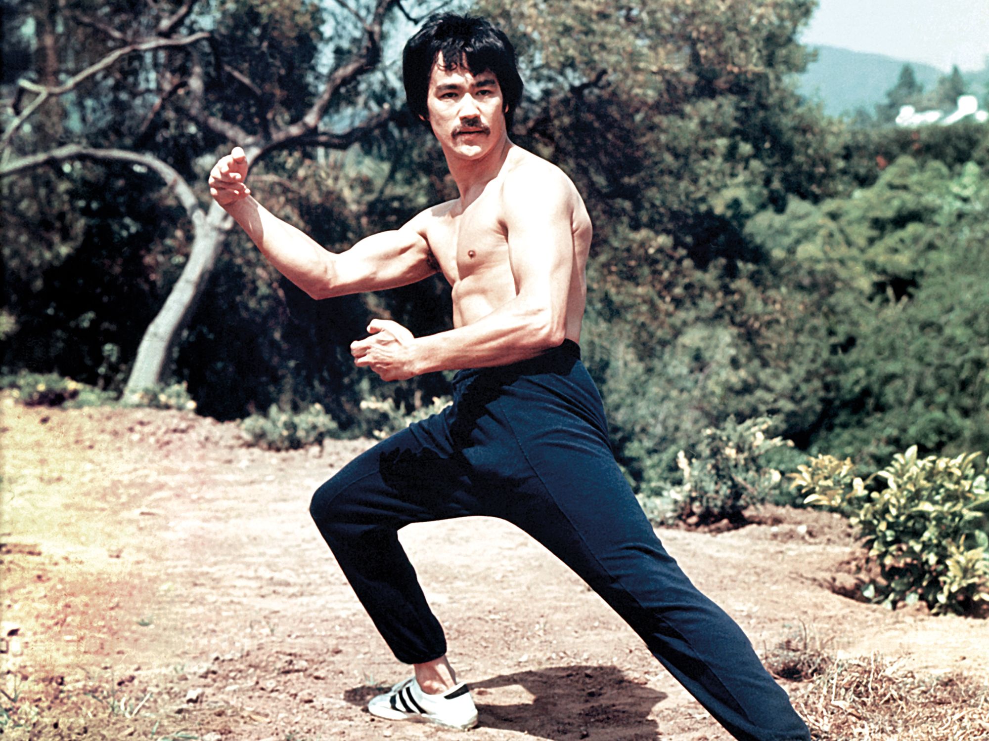 Detail Bruce Lee Pic Nomer 27