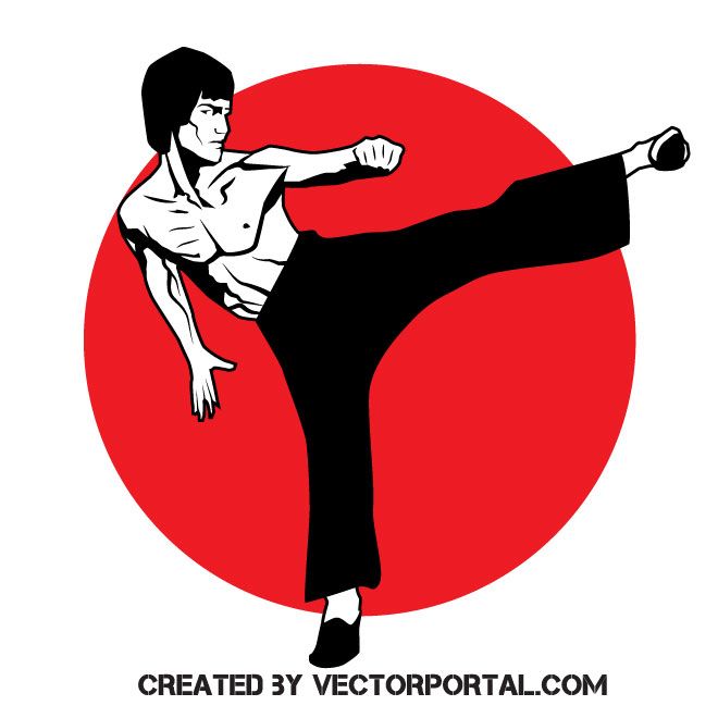 Bruce Lee Vector - KibrisPDR