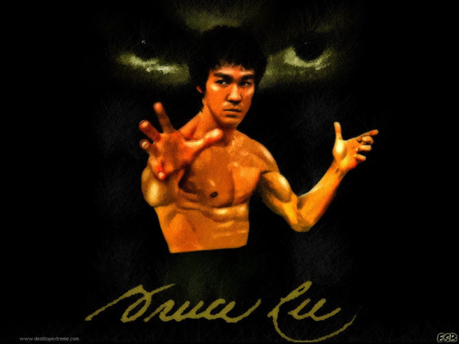 Detail Bruce Lee Wallpapers Nomer 36