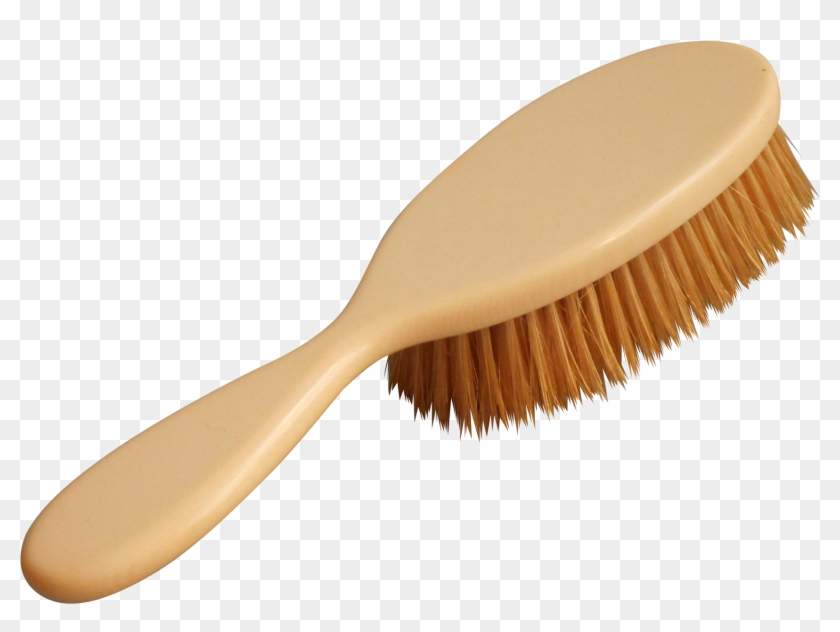 Detail Brush Transparent Nomer 56