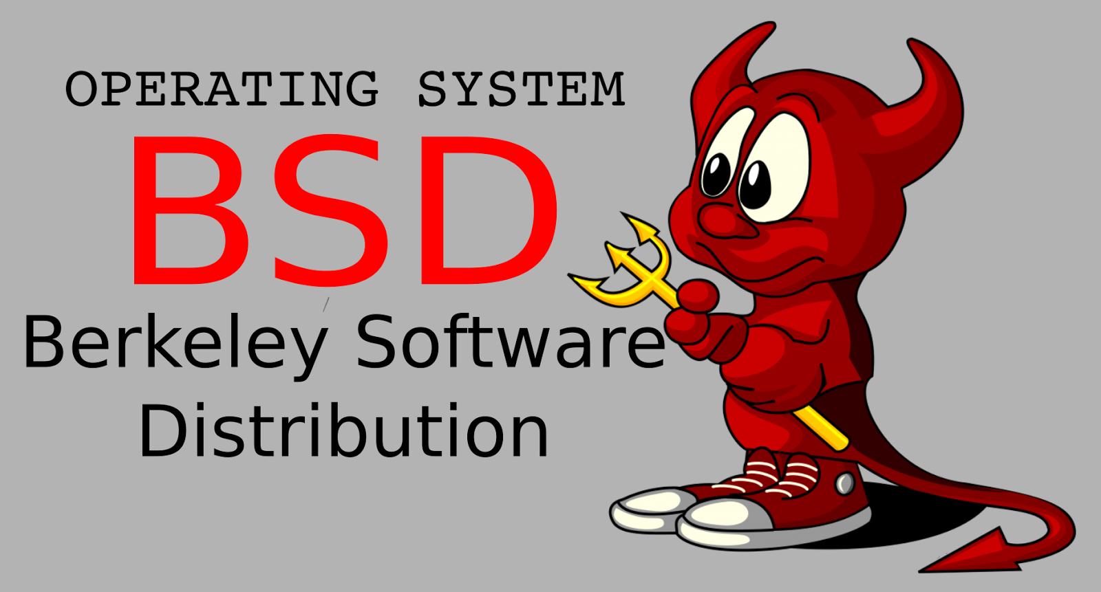Detail Bsd Berkeley Software Distribution Nomer 22