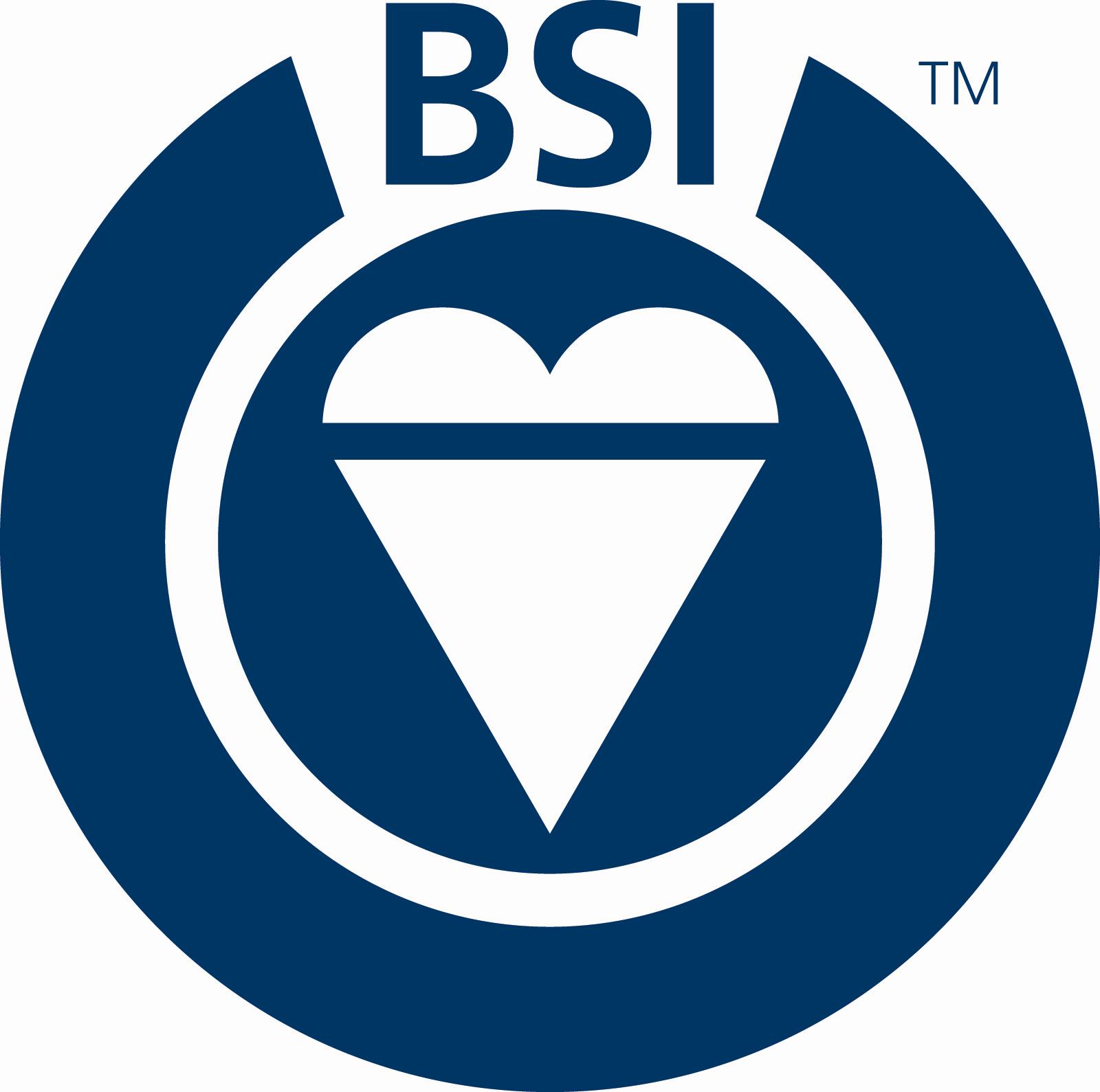 Detail Bsi 14001 Logo Nomer 40