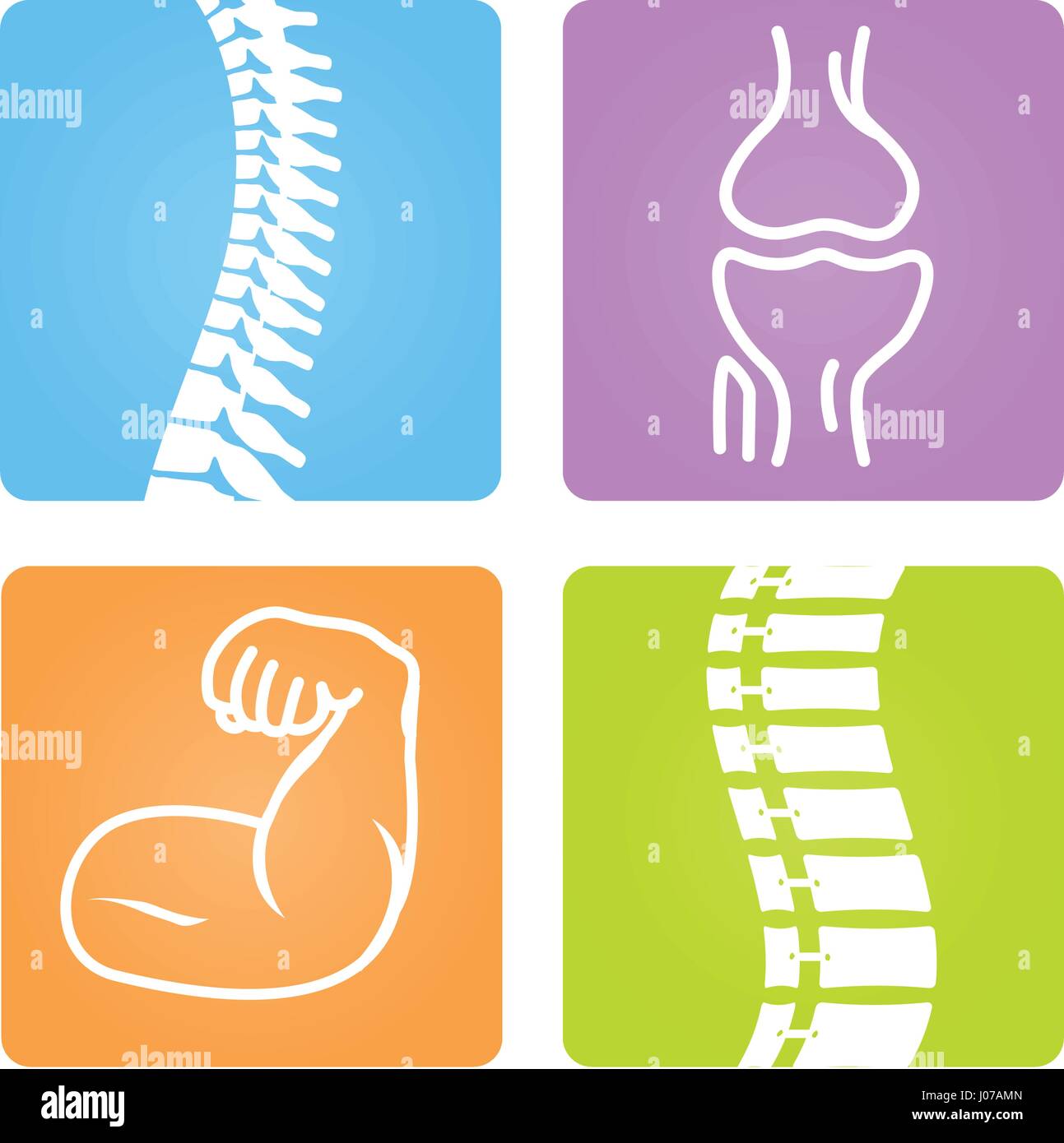 Detail Digitale Orthopantomographie Nomer 9