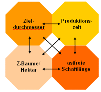 Detail Eiche Im Schnee Nomer 10