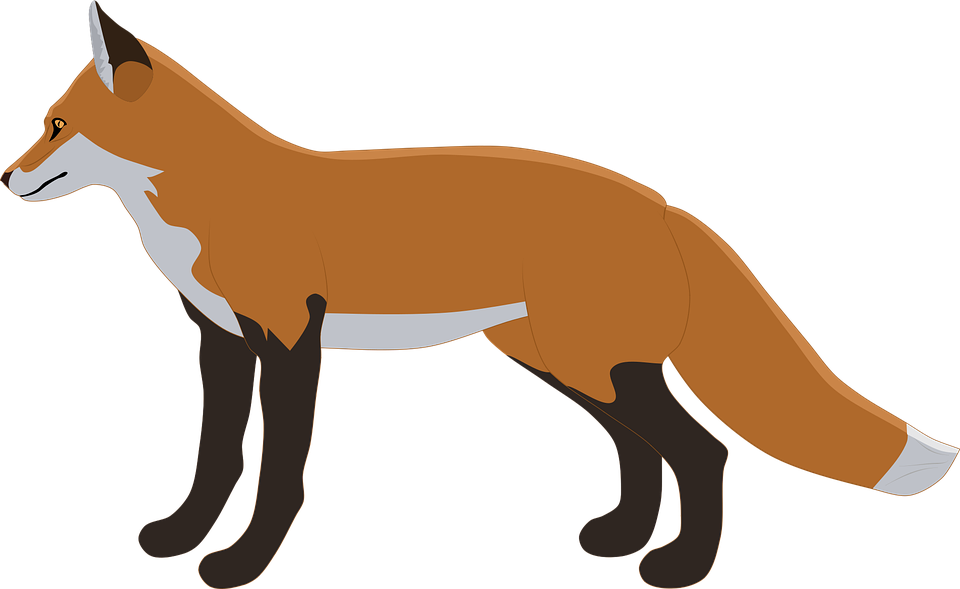 Detail Fox Vector Nomer 14