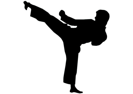 Detail Karate Silhouette Nomer 7