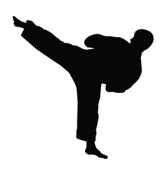 Detail Karate Silhouette Nomer 3