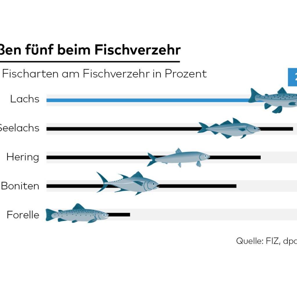 Detail Lachs Bilder Nomer 7