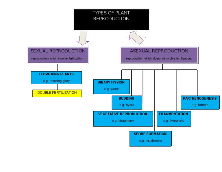 Detail Mindmap Romantik Deutsch Nomer 5