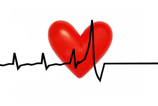 Detail Nulllinie Ekg Nomer 2