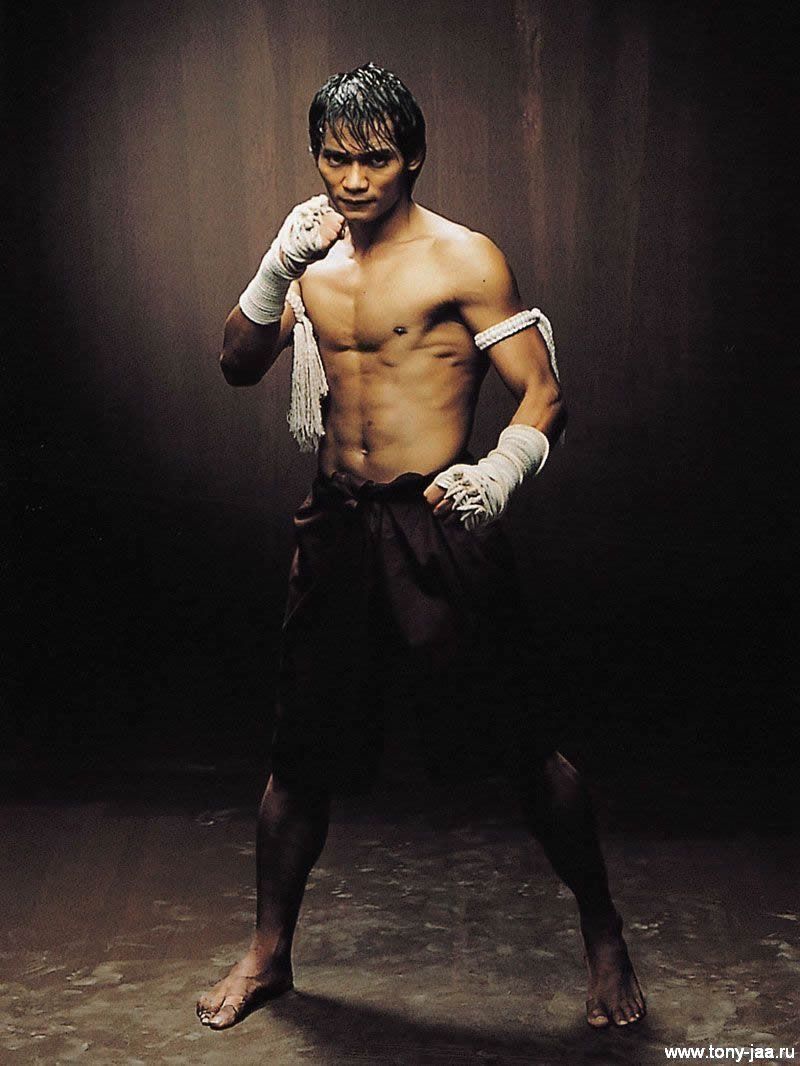 Detail Foto Tony Jaa Nomer 10