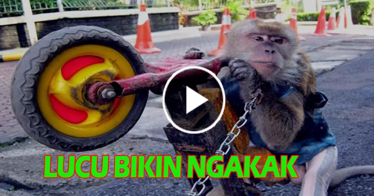 Detail Foto Topeng Monyet Nomer 35