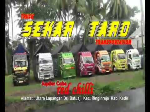 Detail Foto Truk Sekar Taro Nomer 58