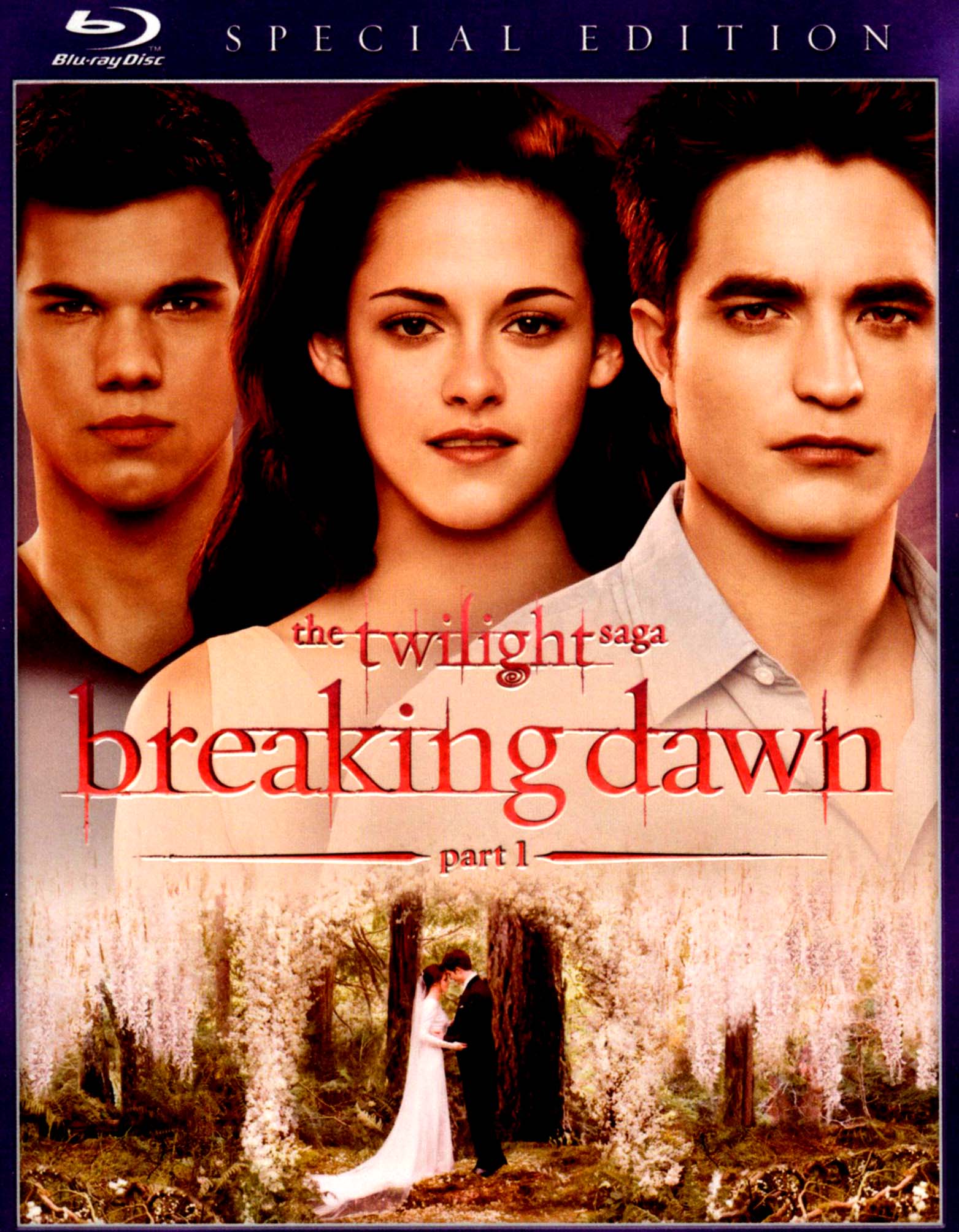 Detail Foto Twilight Breaking Dawn Part 1 Nomer 7