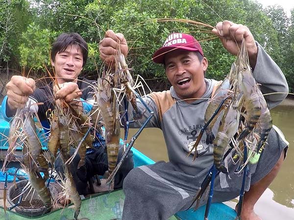 Download Foto Udang Galah Nomer 19