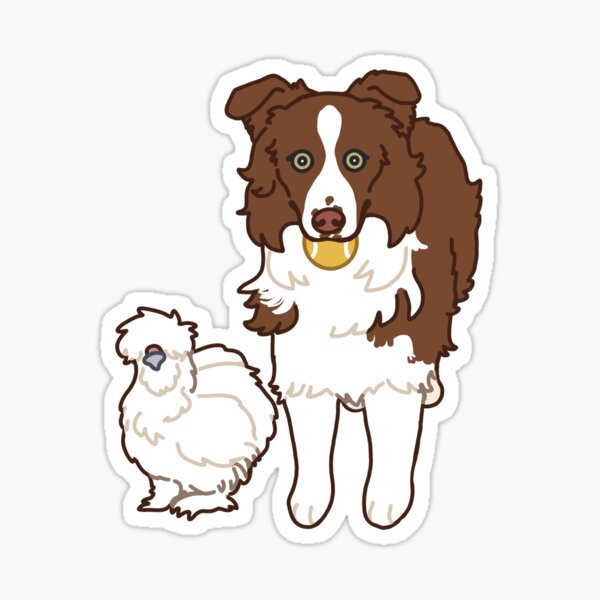 Detail Nintendogs Australian Shepherd Nomer 8